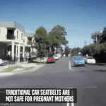 Load image into Gallery viewer, Pregnancy Seat Belt