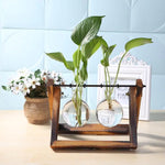 Load image into Gallery viewer, Glass and Wood Vase Planter Table Desktop