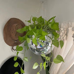 Load image into Gallery viewer, Disco Ball Flower Hanging Vase