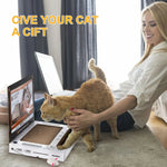 Load image into Gallery viewer, Cat Scratching Board Laptop
