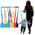 Load image into Gallery viewer, Toddler Walk Learning Assistant
