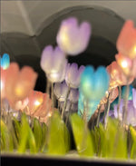 Load image into Gallery viewer, Cloud Tulip Mirror Lamp
