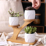 Load image into Gallery viewer, Succulent Pots &amp; Bamboo Shelf
