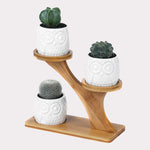 Load image into Gallery viewer, Succulent Pots &amp; Bamboo Shelf
